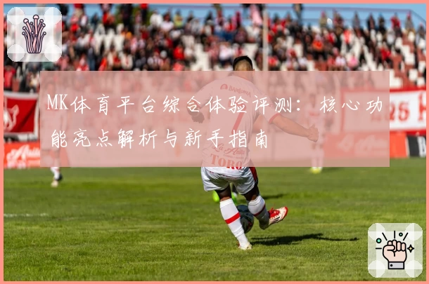 MK体育平台综合体验评测：核心功能亮点解析与新手指南